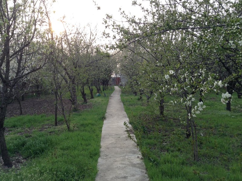 Sector 5, strada Teius, Bucuresti,