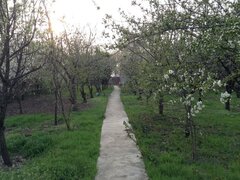 Sector 5, strada Teius, Bucuresti