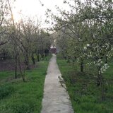 Sector 5, strada Teius, Bucuresti